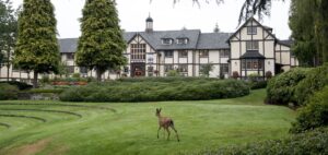 カナダの名門ボーディングスクール完全ガイド｜格式・進学実績・イギリス・アメリカとの違い