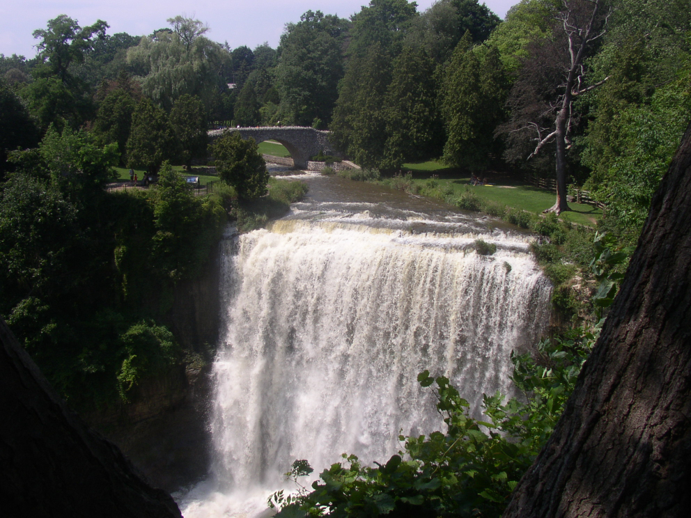 ハミルトンの滝（Webster's Falls）